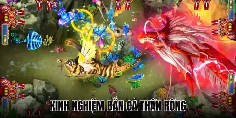 Hướng Dẫn Cách Chơi Bắn Cá Rồng Tại Bigbet88 Săn Boss Siêu Khủng
